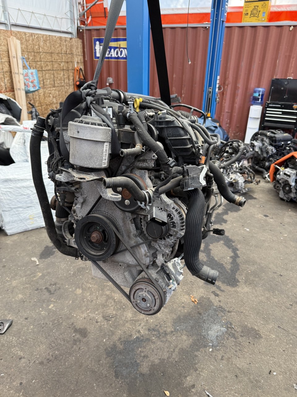 photo_2025-12-07_16-34-18